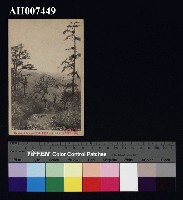 藏品(霧社風景明信片：遠望新高山)的圖片